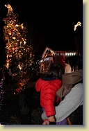 Christmas-Lights-Dec2013 (63) * 5184 x 3456 * (5.61MB)